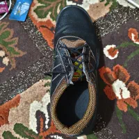 کفش کار|کیف، کفش، کمربند|شاهین‌شهر, عطار|دیوار