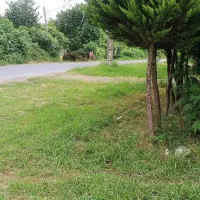 ویلا دوخوابه فومن ماسوله