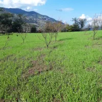 فروش زمین قیمت مناسب در بافت