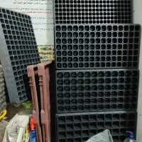 فروش تخصصی انواع بذر سبزیجات و صیفیجات و گل|گل و گیاه طبیعی|بابل, |دیوار