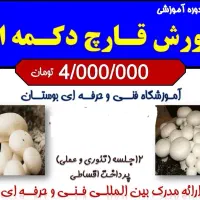آموزش پرورش قارچ دکمه ای در  آموزشگاه  بوستان|خدمات آموزشی|رشت, سعدی (تختی)|دیوار