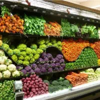 گارگر میوه فروشی