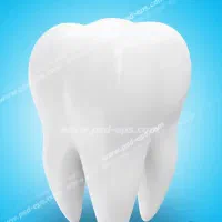 دندانپزشک عمومی خانم