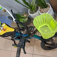 دوچرخه سایز ۱۲|دوچرخه، اسکیت، اسکوتر|کاشمر, |دیوار