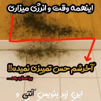 وایتکس گیاهی و بدون بو|مواد شوینده و دستمال کاغذی|لنجان, |دیوار