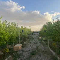 باغ ۵۰۰متری منطقه ویلایی توریستی ماریان باسهمیه آب|فروش زمین و ملک کلنگی|مشهد, درزآب|دیوار