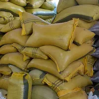 پخش تخمه امیرعلی قرچک ورامین|خوردنی و آشامیدنی|قرچک, زیبا شهر|دیوار