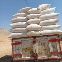 کاه گندم دیم|حیوانات مزرعه|اهواز, شهرک اندیشه|دیوار