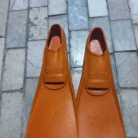 فین شنا