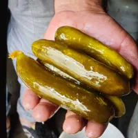 فروش عمده ترشی خیارشور آب معدنی سرکه سیب کارخانه