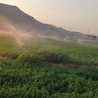 فروش فواره بارانی|ماشین‌آلات صنعتی|شیراز, ارم|دیوار