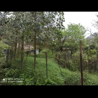 زمین ۳۰۰ متری مسکونی در لاسک شفت