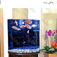 شیشه آکواریوم بادستگاه اکسیژن