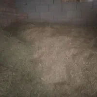 فروش کاه ویونجه