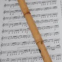 آموزش سازنی