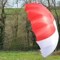 پاراگلایدر پاراموتور  ایتالیایی  پرقدرت تک نفره|تجهیزات ورزشی|تهران, پونک|دیوار