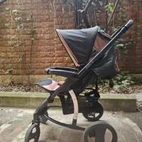 کالسکه و کریر آلمانی (هائوک)