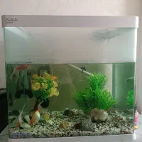 آکواریوم آکوا Gh500 سالم و تمیز همراه سنگ و درختچه