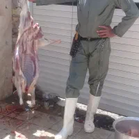 قصاب،سلاخ