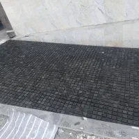 کوبیک واشبتن،ساسو