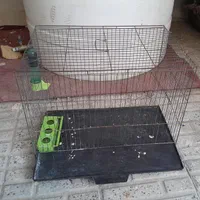قفس پرنده