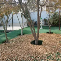 اجاره باغ و سالن عقد|خدمات پذیرایی، مراسم|نجفآباد, جوزدان|دیوار