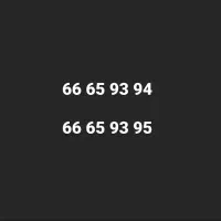 دو عدد خط تلفن 94 93 65 66 و 95 93 65 66
