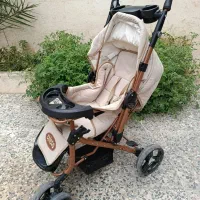 کالسکه بنیتا دلیجان|کالسکه و لوازم جانبی|آمل, |دیوار