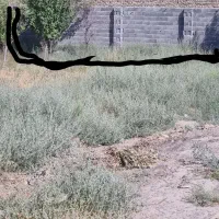 زمین واقع در زیرکن|فروش زمین و ملک کلنگی|مشهد, زیرکن|دیوار