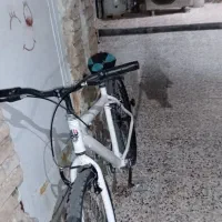 دوچرخه|دوچرخه، اسکیت، اسکوتر|ایذه, |دیوار