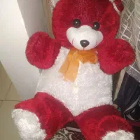 خرس ولنتاین سالم