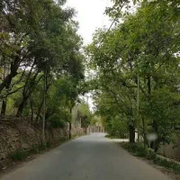 باغ گل افشان