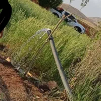 گلخانه|فروش دفتر صنعتی، کشاورزی، تجاری|سنندج, |دیوار