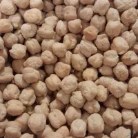 نخود درجه یک