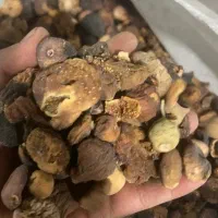 فروش انجیر صنعتی.    انجیر ضایعاتی