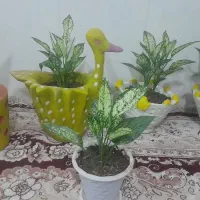 حوض آبنما  وگل گلدان