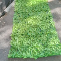 گرین وال رولی مصنوعی (دیوار سبز مصنوعی