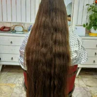 *صادرکننده اصلی موطبیعی*