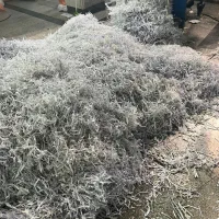 نیروی کارگر‌ ساده -فقط آقا