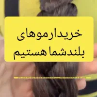 خریدار موی بانوان با بهترین قیمت|خدمات آرایشگری و زیبایی|سامان, |دیوار