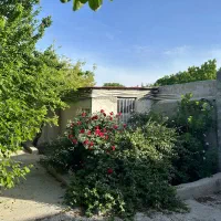 باغچه-500متر-سند-بنا-قدیمی-فاقد-مشکل-جهاد-کردزار