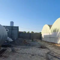 گلخانه|فروش دفتر صنعتی، کشاورزی، تجاری|سیب و سوران, |دیوار