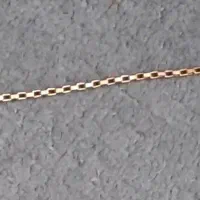 دستبند طلا گمشده در تالارعمارت زرین