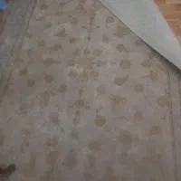 ۲عددفرش ۶متری  هزارودویست شانه گل برجسته طلای