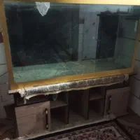 اکواریوم بزرگ