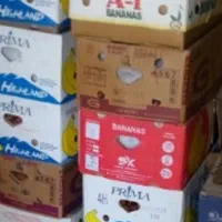 خرما کارتن موزی|عمدهفروشی|وحدتیه, |دیوار