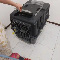 باکس سایز ۸ مارک رها