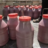 رب گوجه