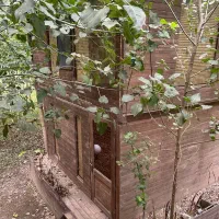 زندگی در قاب چوبی طبیعت