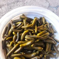 بخش خیار شور خوش طعم  وباکیفعت